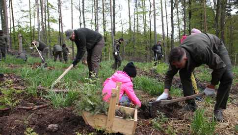 100 sadzonek na 100-lecie Lasów Państwowych w Leśnictwie Tarnawa